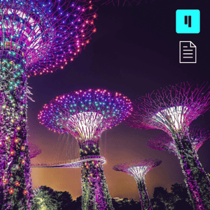 Reflections from ICLR 2025 in Singapore